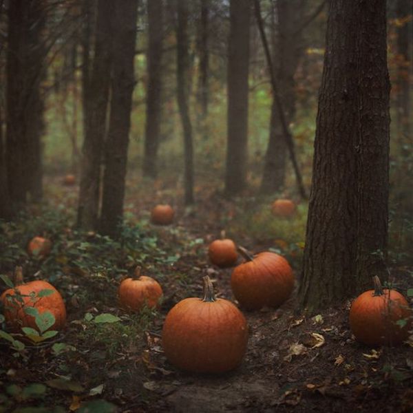 Tradiciones, Halloween, Otoño,Naturaleza.